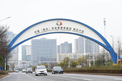 从报告热词看支点新气象