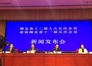 王晓东任湖北自由贸易试验区工作领导小组组长