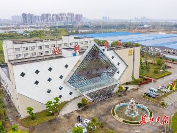 2021年首批农业国际贸易高质量发展基地公布,湖北5家企业入选