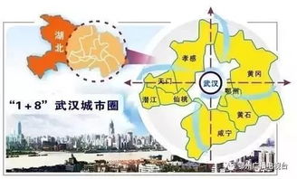 鄂州 将复制推广9项自贸区改革试点经验