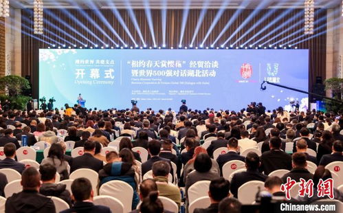中国新闻网 一城浪漫激发多元活力