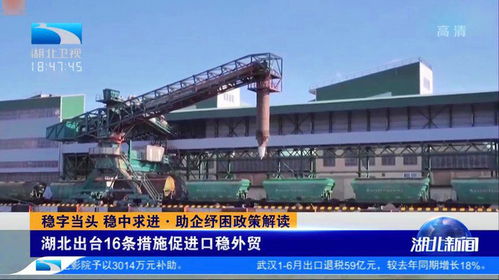 湖北出台16条措施促进口稳外贸