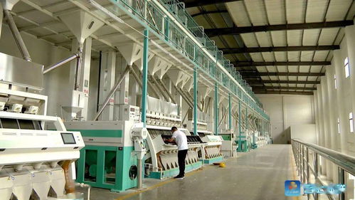 钟祥首家 新布局公司成为农业产业化国家重点龙头企业