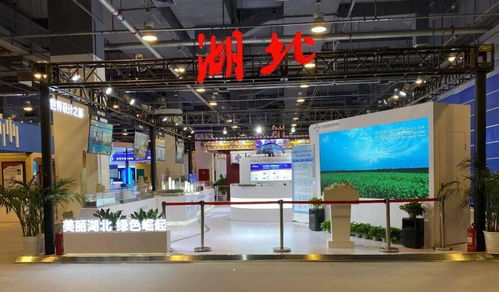 2021年中国国际服务贸易交易会昨晚北京开幕 湖北超百家企业参加
