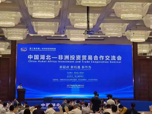 肯中合作委员会参加湖北 非洲投资贸易合作交流会圆满成功