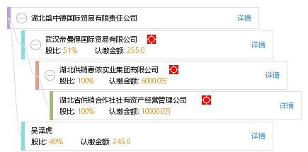 湖北盛中德国际贸易有限责任公司