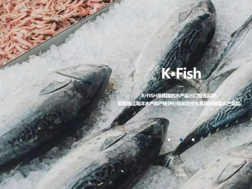 韩国水产协会上海贸易支援中心 举办k seafood线上采购洽谈会