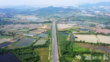 全省最美农村路,武汉蔡甸嵩阳公路成功入选