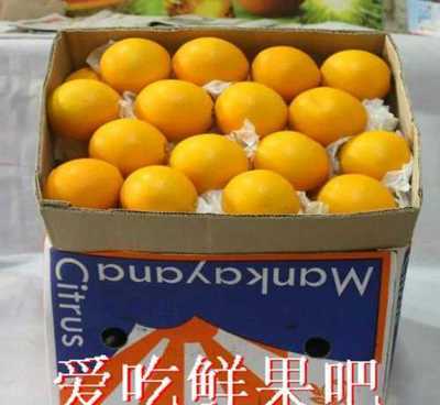 湖北秭归泄滩脐橙批发贸易公司 优质脐橙的专业供应商